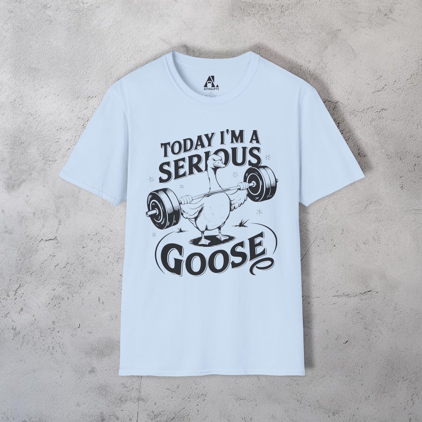 Today I'm A Serous Goose T-Shirt