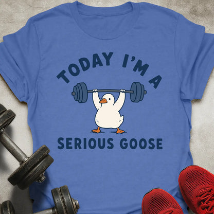 Today I'm A Serious Goose T-Shirt
