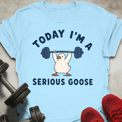 Today I'm A Serious Goose T-Shirt