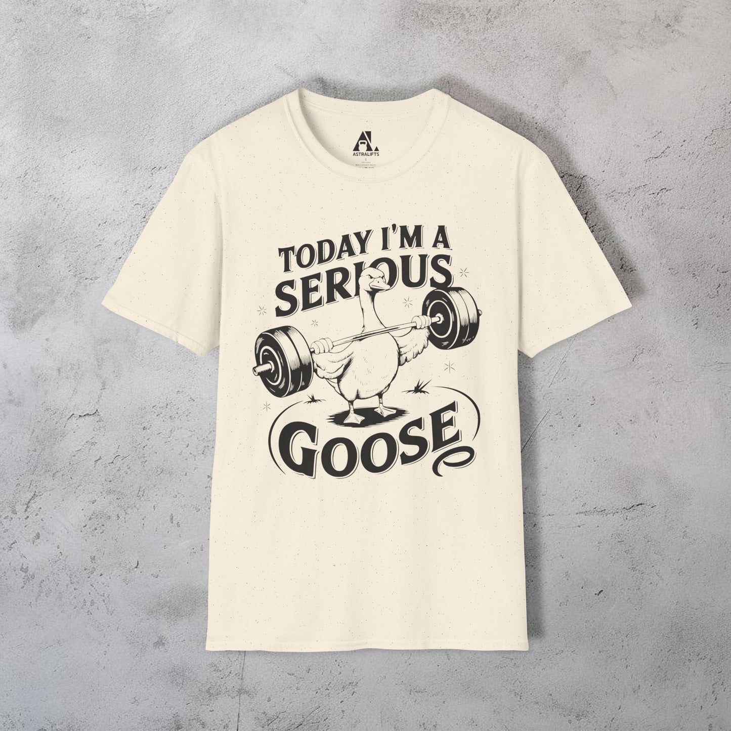 Today I'm A Serous Goose T-Shirt