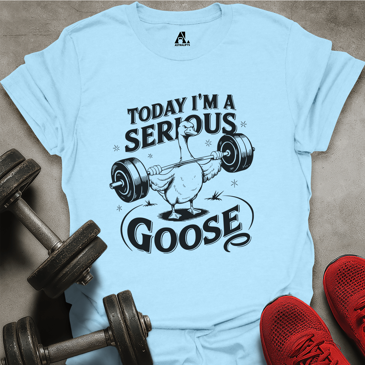 Serous Goose T-Shirt