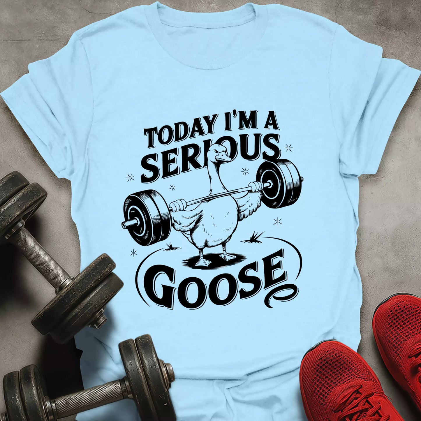 Serious Goose T-Shirt