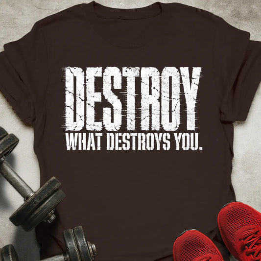Destroy What Destroys T-Shirt