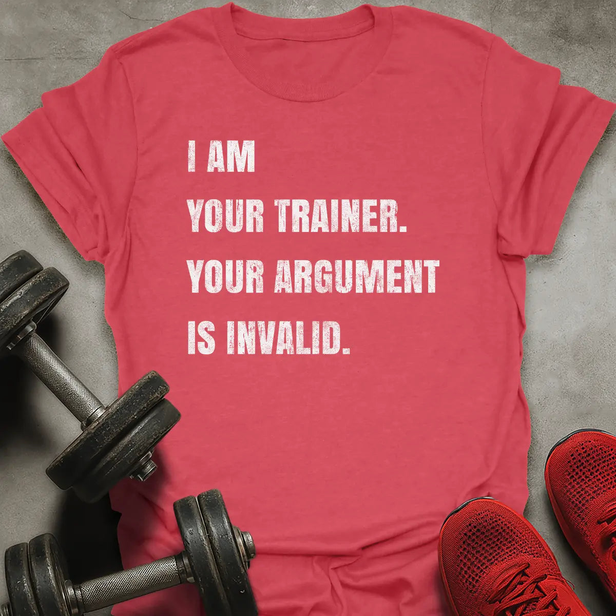 Argument Is Invalid T-Shirt
