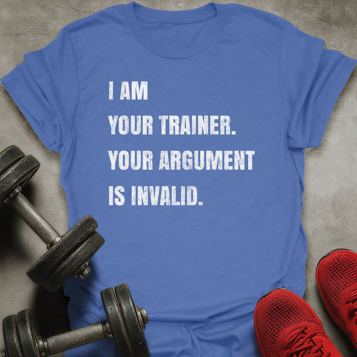 Argument Is Invalid T-Shirt
