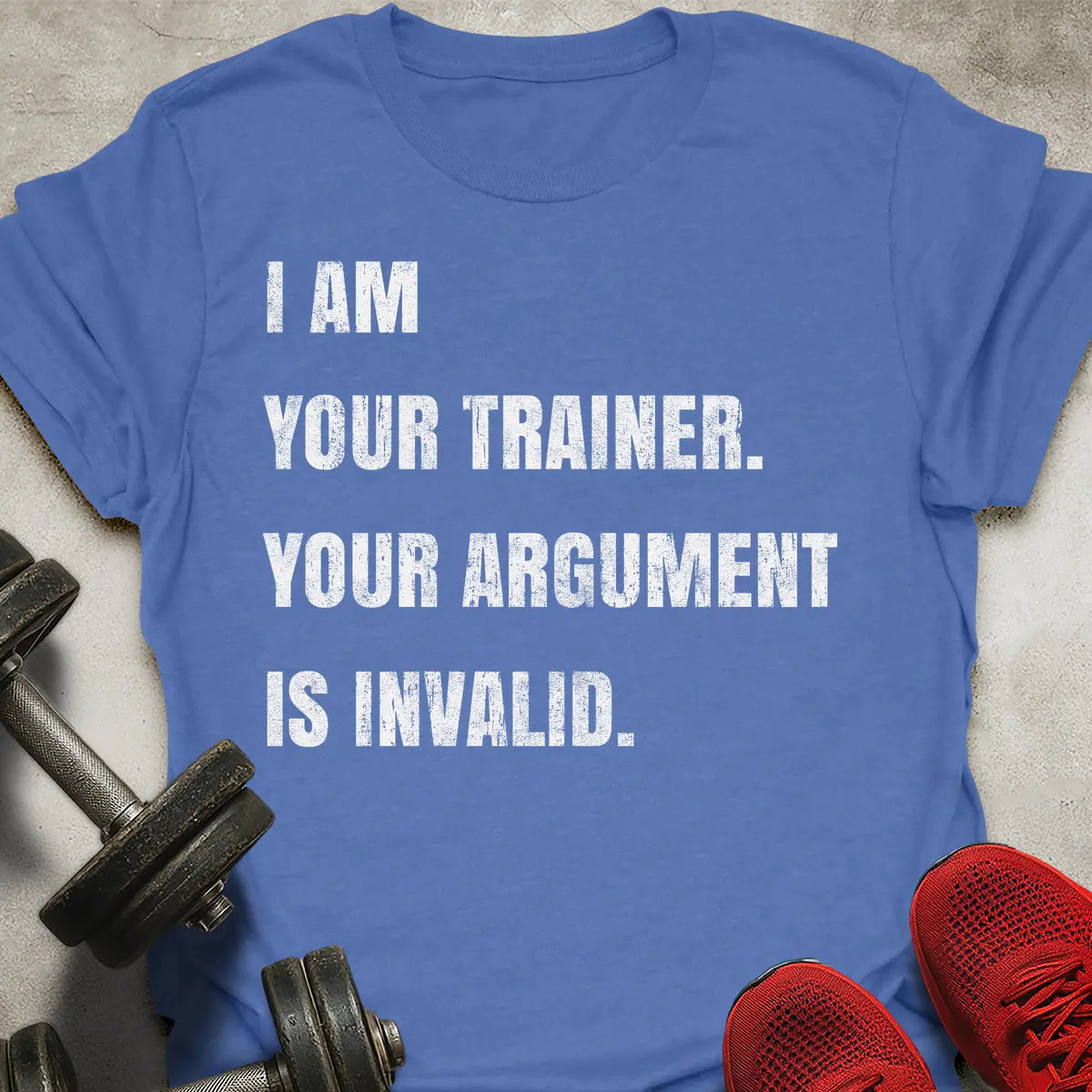 Argument Is Invalid T-Shirt